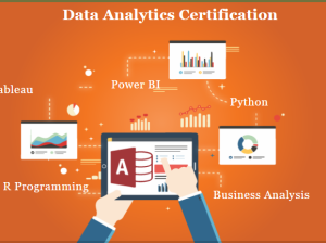 Job Oriented Data Analyst Course in Delhi, 110069. Best Online Business Analytics Course in Delhi NC