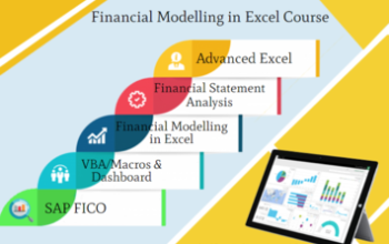 Financial Modeling Certification Course in Delhi,110003. Best Online Live Financial Analyst Training