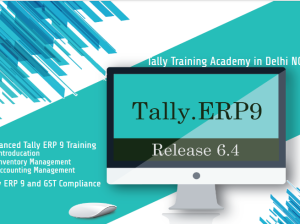 Tally Course in Delhi, 110050, SLA Accounting Institute, Taxation and Tally ERP Institute in Delhi,