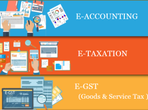 E-Accounting Course in Delhi, “Learn Direct Tax Code 2025” 110034