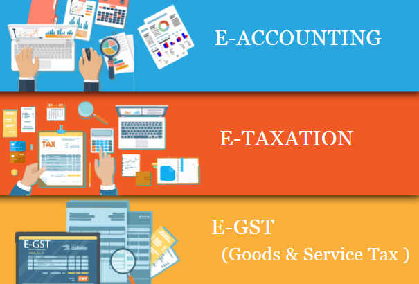 E-Accounting Course in Delhi, “Learn Direct Tax Code 2025” 110034