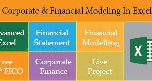 Financial Modelling Certification Course in Delhi, 110077. Best Online Live Financial Analyst