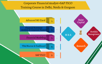 Financial Modelling Certification Course in Delhi,110098. Best Online Live Financial Analyst