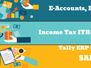 Best Accounting Course in Delhi, “Learn Direct Tax Code 2025” 110029, [ GST Update 2025] by SLA