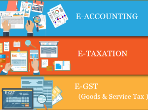Best Accounting Course in Delhi, “Learn Direct Tax Code 2025” 110040, NCR by SLA. GST