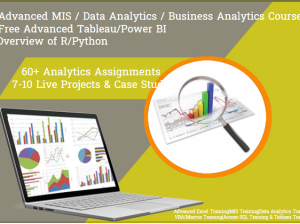 AI vs. Data Analyst Why Analytics Expertise Will Still Be in Demand in 2025, 100% Job, MIS Course